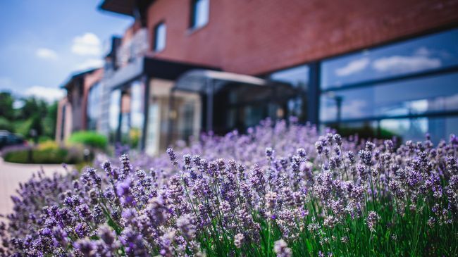 Dc Hotel Charleroi Airport Ngoại thất bức ảnh